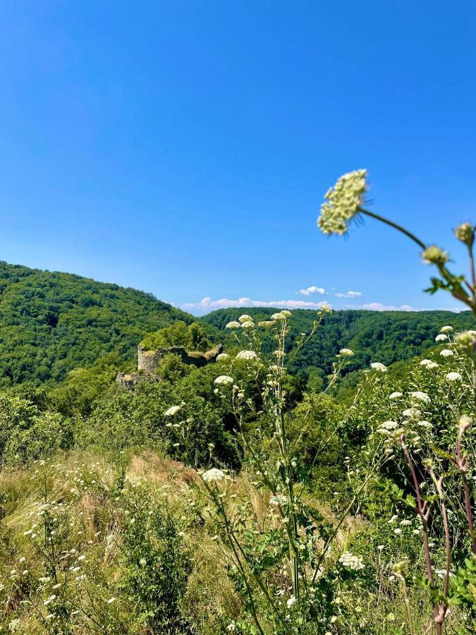 Apartamento Drozdi Hnizdo Horni Breckov Exterior foto