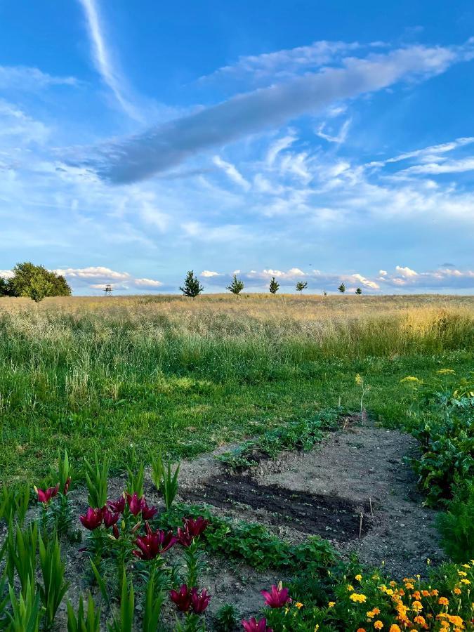 Apartamento Drozdi Hnizdo Horni Breckov Exterior foto